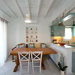 Wild View Mykonos 빌라 *