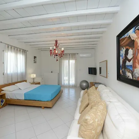 Willa Wild View Mykonos *